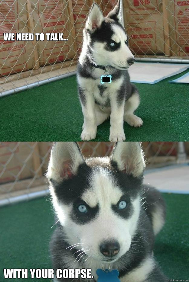 We need to talk... With your corpse.  Insanity puppy