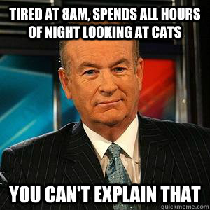 tired at 8am, spends all hours of night looking at cats You can't explain that - tired at 8am, spends all hours of night looking at cats You can't explain that  Bill O Reilly