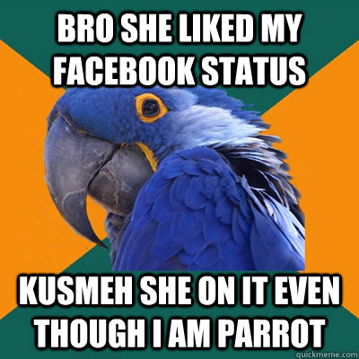 Bro she liked my Facebook status kusmeh she on it even though i am parrot  Paranoid Parrot