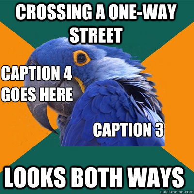 Crossing a one-way street Looks both ways Caption 3 goes here Caption 4 goes here  Paranoid Parrot