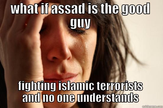 WHAT IF ASSAD IS THE GOOD GUY FIGHTING ISLAMIC TERRORISTS AND NO ONE UNDERSTANDS First World Problems