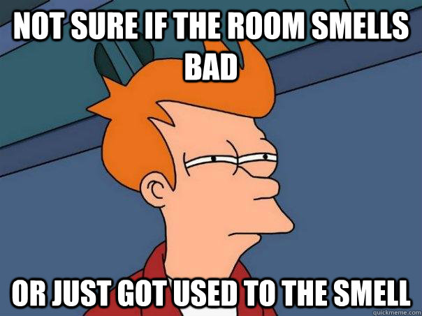 Not sure if the room smells bad Or just got used to the smell  Futurama Fry