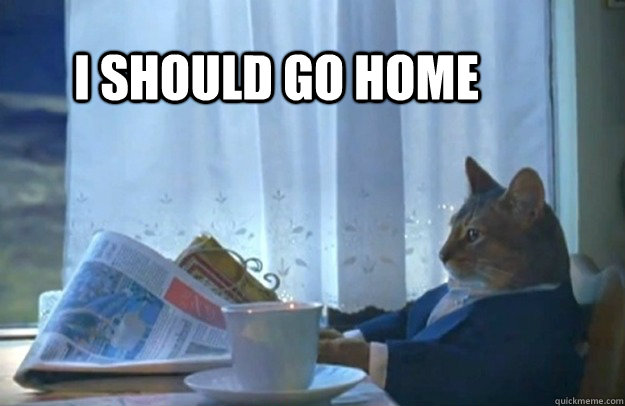 I should go home  Sophisticated Cat