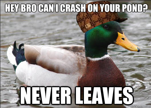 Hey bro can I crash on your pond? Never leaves  