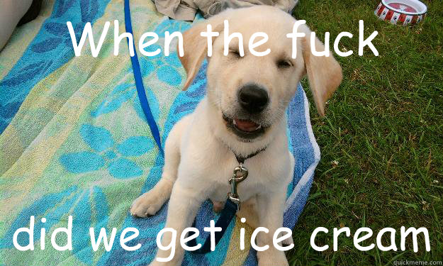 When the fuck did we get ice cream  Retard Dog