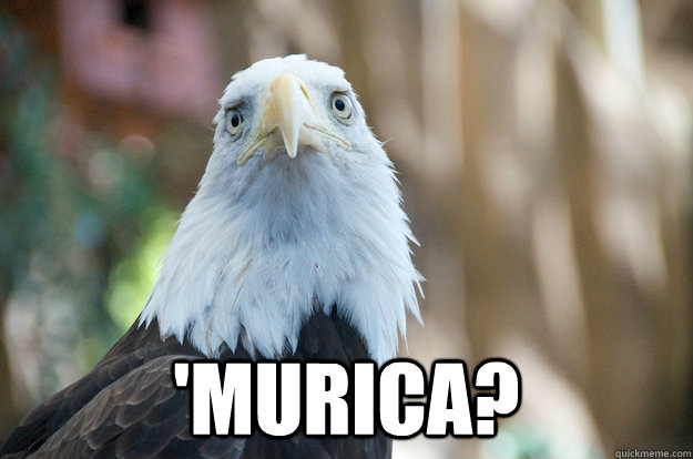  'Murica?  