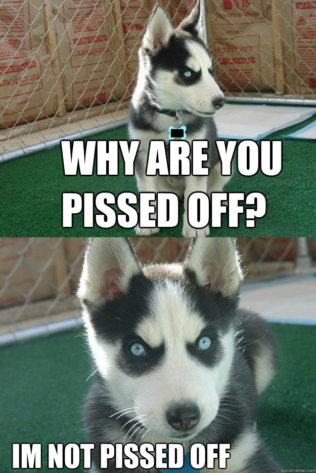 why are you pissed off? im not pissed off  Insanity puppy