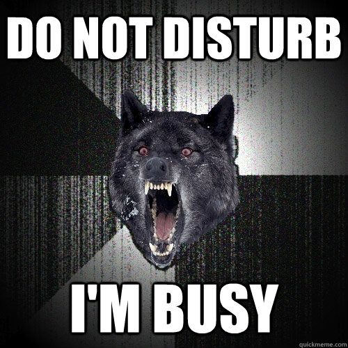 DO NOT DISTURB  I'M BUSY  Insanity Wolf