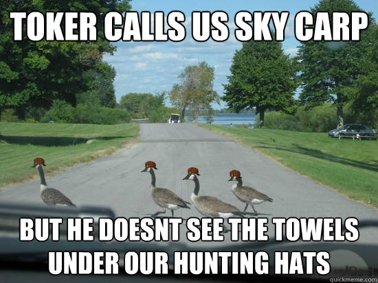 toker calls us sky carp but he doesnt see the towels under our hunting hats  Scumbag Geese