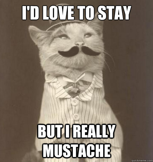 I'd love to stay but i really mustache  Original Business Cat