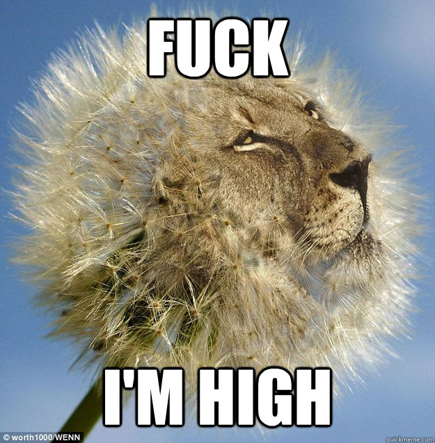fuck I'm high  10 Lion