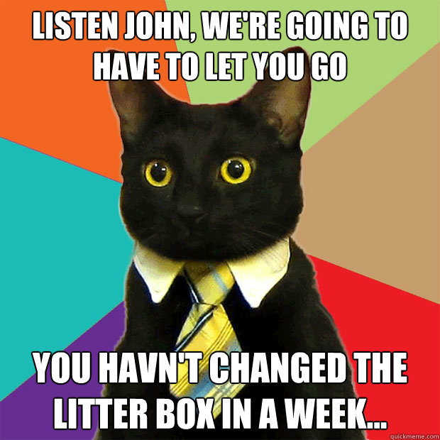 Listen john, we're going to have to let you go You havn't changed the litter box in a week...  Business Cat