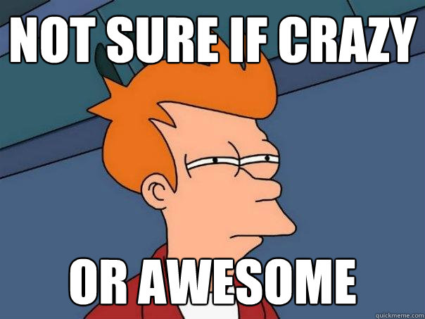 Not sure if crazy Or awesome  Futurama Fry