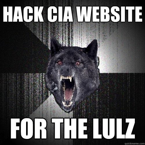 Hack CIA website For the LULZ  Insanity Wolf