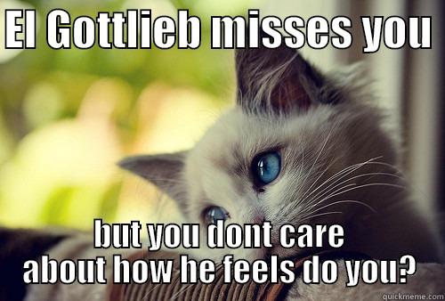 EL GOTTLIEB MISSES YOU  BUT YOU DONT CARE ABOUT HOW HE FEELS DO YOU? First World Problems Cat