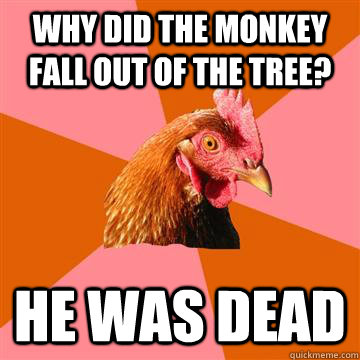 Why did the monkey fall out of the tree? He was dead  Anti-Joke Chicken