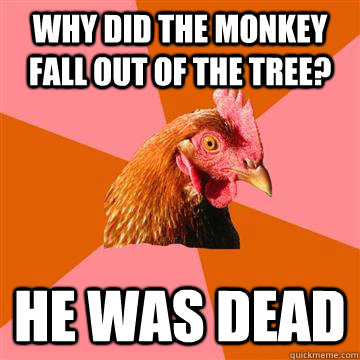 Why did the monkey fall out of the tree? He was dead  Anti-Joke Chicken