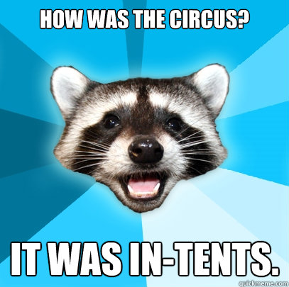 how was the circus? it was in-tents.  Lame Pun Coon