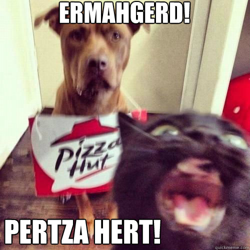 ERMAHGERD! pertza hert! - ERMAHGERD! pertza hert!  Misc