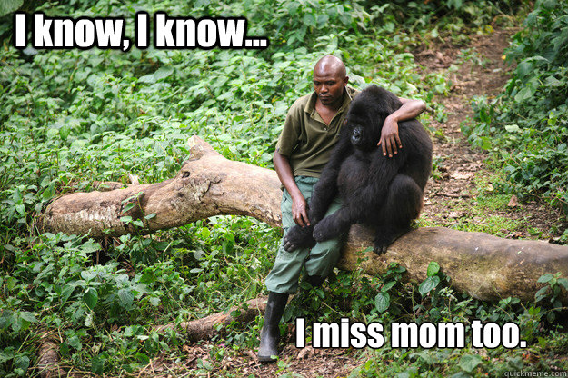 I know, I know... I miss mom too. - I know, I know... I miss mom too.  Misc