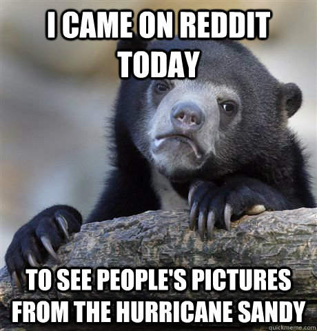I came on reddit today to see people's pictures from the Hurricane Sandy  Confession Bear