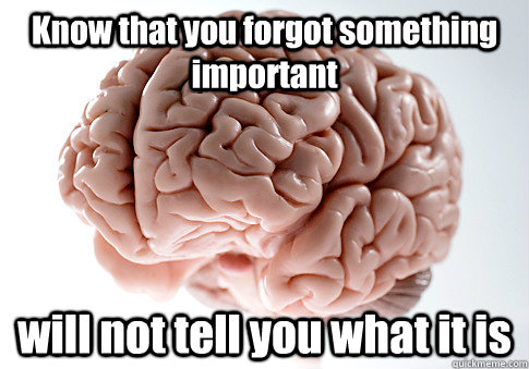 Know that you forgot something important will not tell you what it is   Scumbag Brain