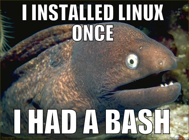 Linux installation - I INSTALLED LINUX ONCE I HAD A BASH Bad Joke Eel