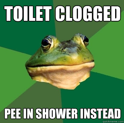 Toilet clogged Pee in shower instead  Foul Bachelor Frog
