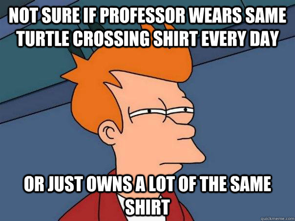 Not sure if professor wears same turtle crossing shirt every day Or just owns a lot of the same shirt - Not sure if professor wears same turtle crossing shirt every day Or just owns a lot of the same shirt  Futurama Fry