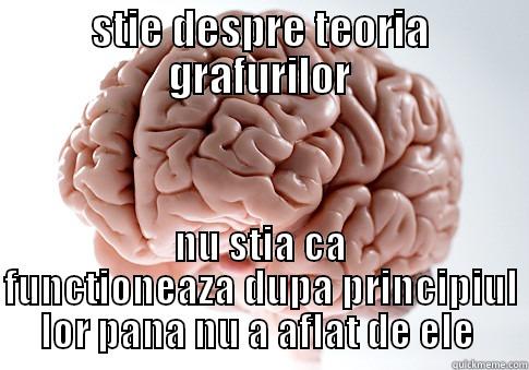 STIE DESPRE TEORIA GRAFURILOR NU STIA CA FUNCTIONEAZA DUPA PRINCIPIUL LOR PANA NU A AFLAT DE ELE  Scumbag Brain