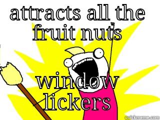 ATTRACTS ALL THE FRUIT NUTS WINDOW LICKERS All The Things
