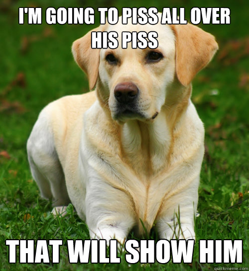 I'm going to piss all over his piss That will show him - I'm going to piss all over his piss That will show him  Dog Logic