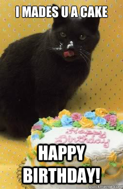 I mades u a cake happy birthday!  cake cat