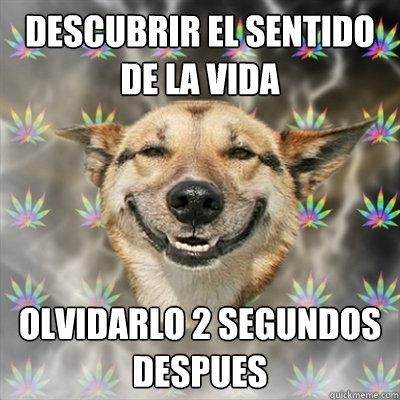 Descubrir el sentido de la vida Olvidarlo 2 segundos despues - Descubrir el sentido de la vida Olvidarlo 2 segundos despues  Stoner Dog