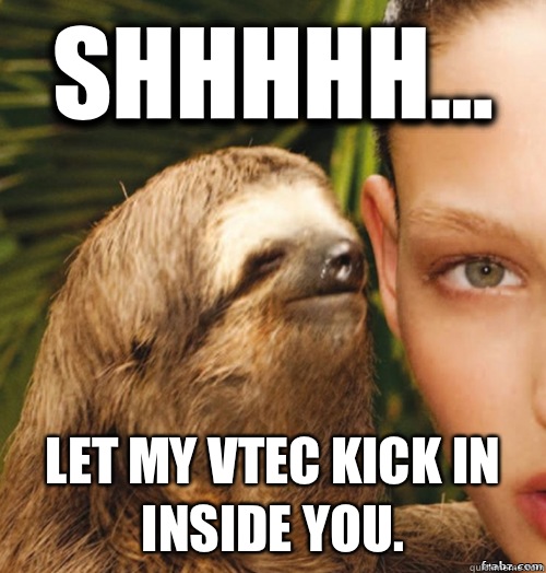 Shhhhh... Let my vtec kick in inside you.  rape sloth