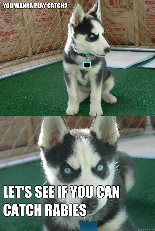 You wanna play catch? Let's see if you can catch rabies  Insanity puppy