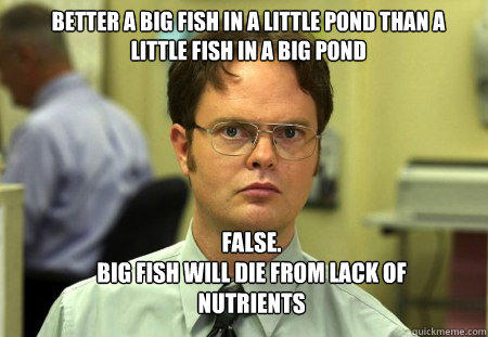 Better a big fish in a little pond than a little fish in a big pond  false. 
big fish will die from lack of nutrients   