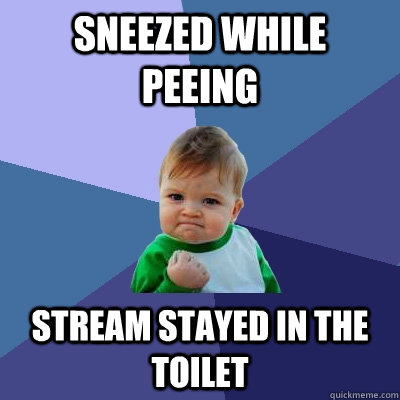 Sneezed while peeing  stream stayed in the toilet - Sneezed while peeing  stream stayed in the toilet  Success Kid
