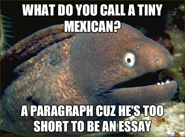 What do you call a tiny Mexican? A paragraph cuz he's too short to be an essay  Bad Joke Eel