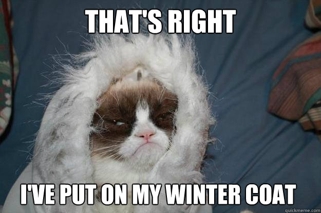 that's right i've put on my winter coat - that's right i've put on my winter coat  Cold Grumpy Cat