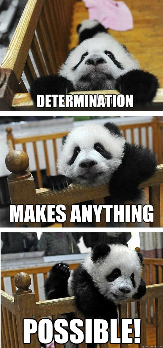 Determination  Makes anything Possible! - Determination  Makes anything Possible!  Determination Level Panda