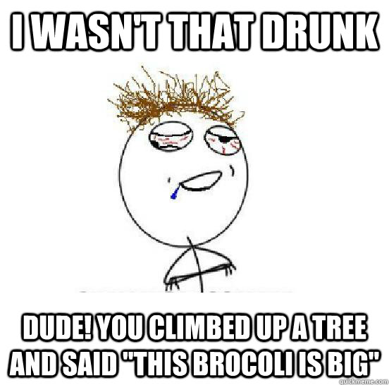 I wasn't that drunk Dude! You climbed up a tree and said 