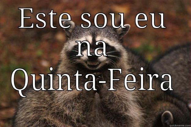 ESTE SOU EU NA QUINTA-FEIRA Evil Plotting Raccoon