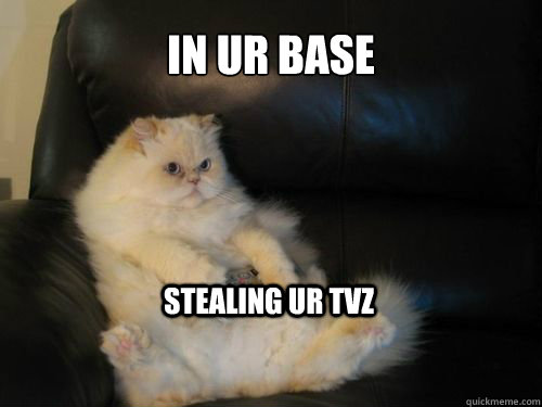in ur base
 stealing ur tvz  Disapproving TV Cat