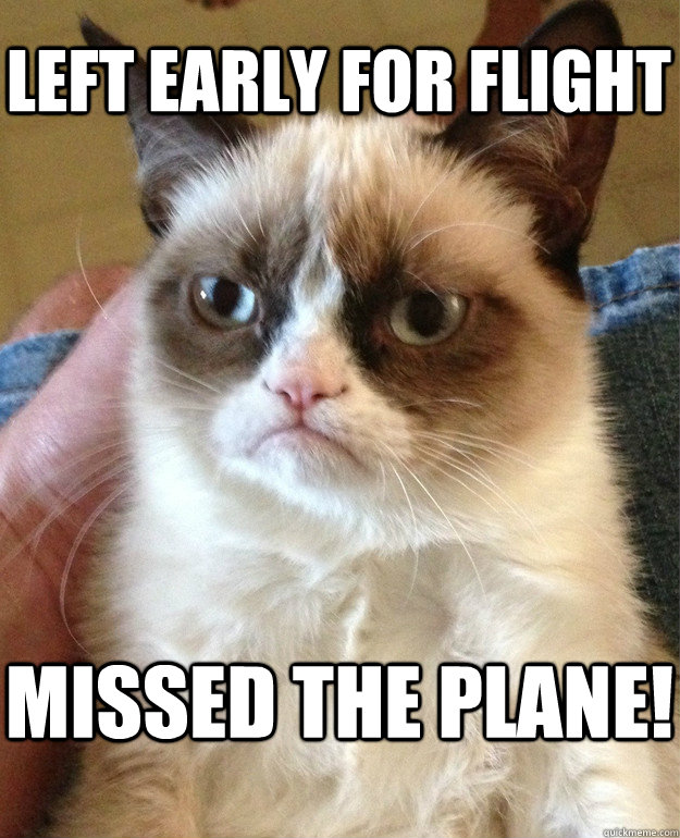 Left early for flight Missed the plane! - Left early for flight Missed the plane!  Grumpy Cat