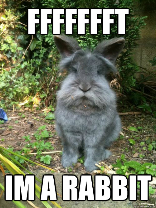ffffffft im a rabbit  