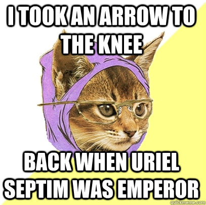 I took an arrow to the knee Back when Uriel Septim was Emperor  Hipster Kitty