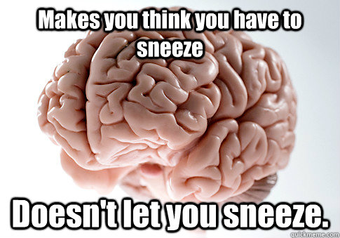 Makes you think you have to sneeze Doesn't let you sneeze.   Scumbag Brain