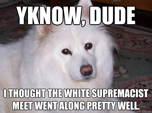 yknow, dude I thought the white supremacist meet went along pretty well.  Reverse Racism Dog