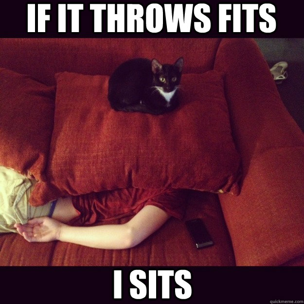 if it throws fits i sits  jealous cat